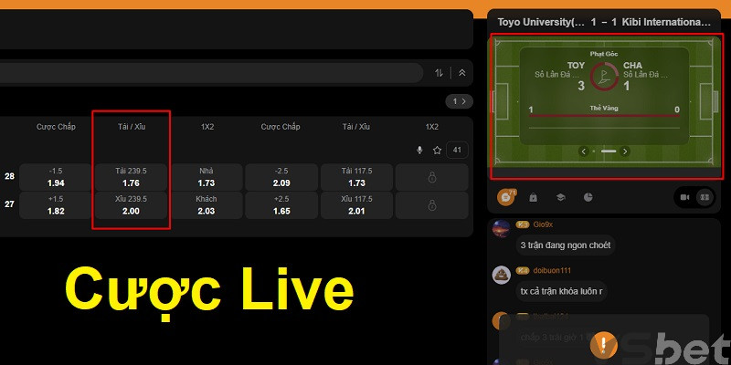 Cược Live Cược Live