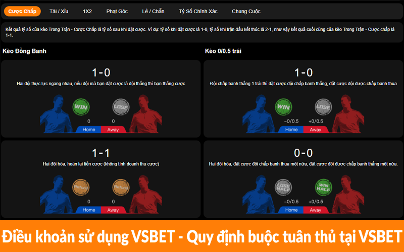 Điều khoản sử dụng VSBET - Quy định buộc tuân thủ tại VSBET